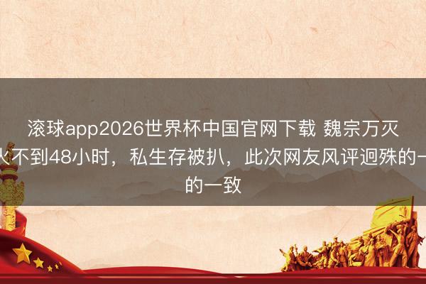 滚球app2026世界杯中国官网下载 魏宗万灭一火不到48小时，私生存被扒，此次网友风评迥殊的一致