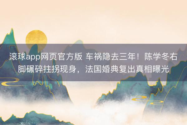 滚球app网页官方版 车祸隐去三年!陈学冬右脚碾碎拄拐现身,法国婚典复出真相曝光