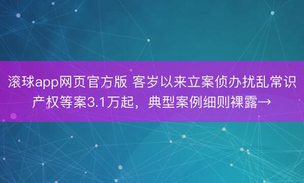 滚球app网页官方版 客岁以来立案侦办扰乱常识产权等案3.1万起，典型案例细则裸露→