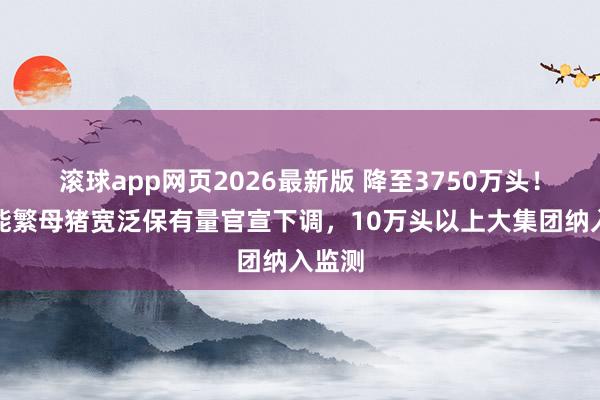 滚球app网页2026最新版 降至3750万头!寰球能繁母猪宽泛保有量官宣下调,10万头以上大集团纳入监测